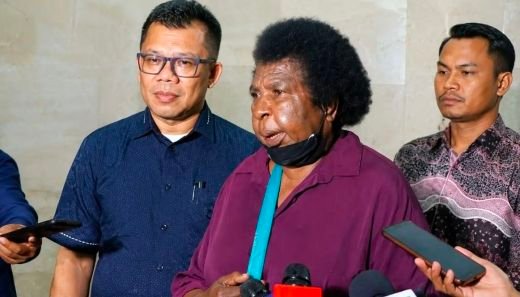 TS Hamonangan Daulay, S.H. (Wasekjen DPN PERADI): Laporan 'Pesta Babi' Murni Soal Data Pribadi, Dialog Tetap Terbuka